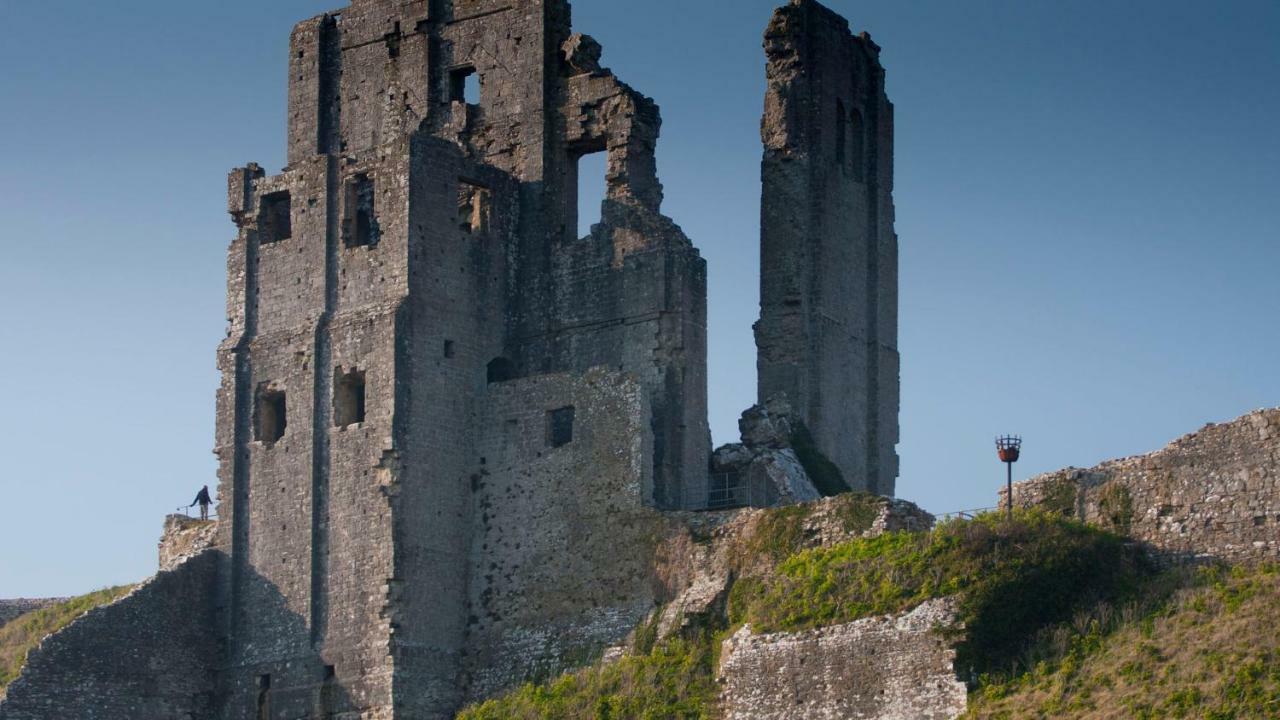 Ammonite Bed & Breakfast Corfe Castle Dış mekan fotoğraf
