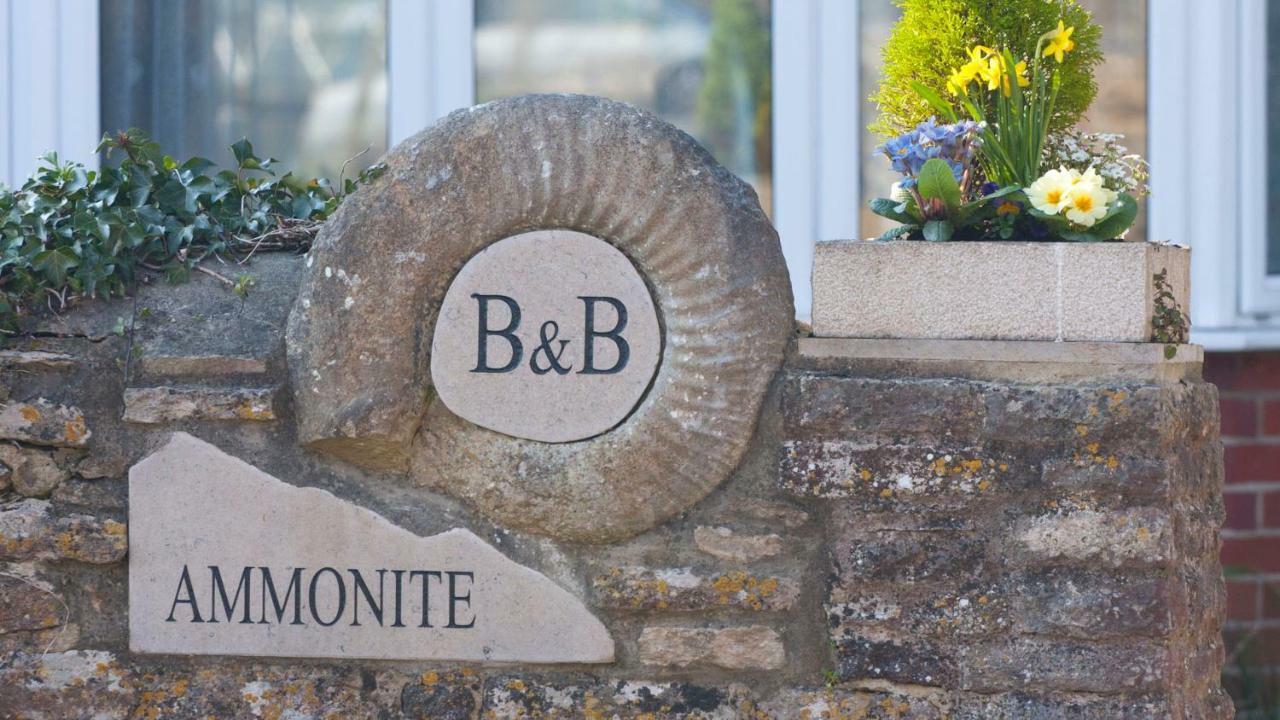 Ammonite Bed & Breakfast Corfe Castle Dış mekan fotoğraf