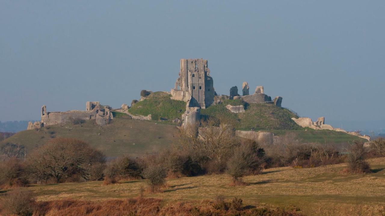 Ammonite Bed & Breakfast Corfe Castle Dış mekan fotoğraf